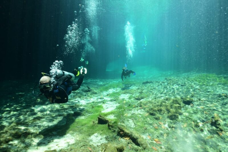 Tulum: Scuba Diving in Cenotes - Booking Information