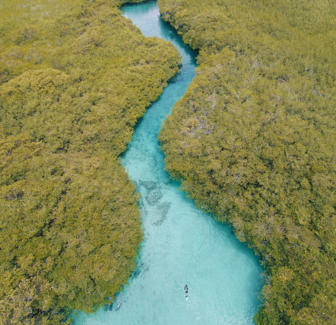 Tulum: Scuba Diving in Cenotes - Customer Testimonials