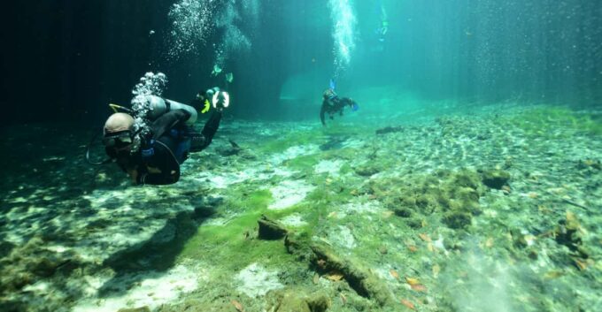 Tulum: Scuba Diving in Cenotes - Frequently Asked Questions