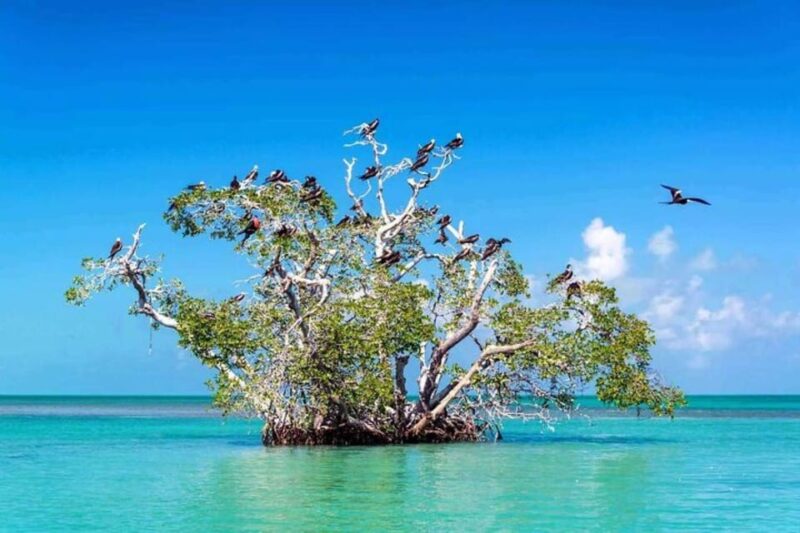 Tulum: Sian Kaan Biosphere Guided Tour - Key Points
