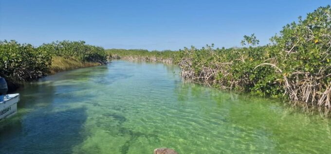 Tulum: Sian Kaan Biosphere Guided Tour - Wildlife Spotting