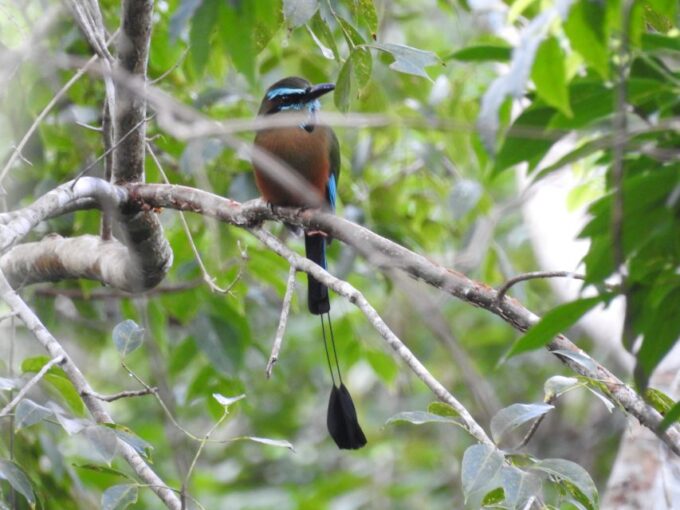 Tulum: Sian Kaan Biosphere Reserve Guided Birdwatching Hike - Sian Kaan Biosphere Reserve