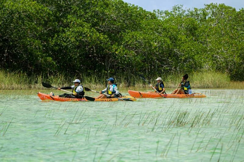 Tulum: Sian Ka'an Biosphere Reserve Kayak Tour - The Value and Practicalities