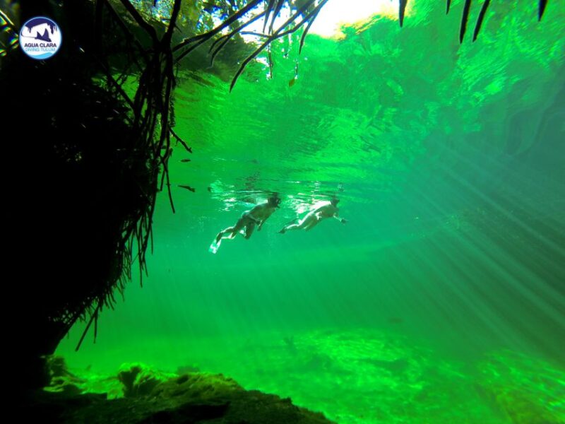 Tulum: Snorkeling Adventure in Cenote and Reef - Inclusions