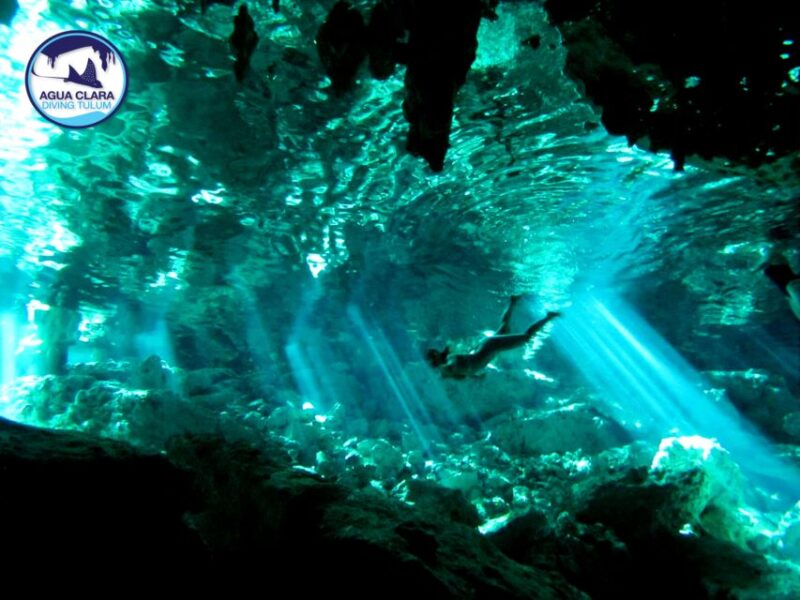 Tulum: Snorkeling Adventure in Cenote and Reef - Customer Feedback