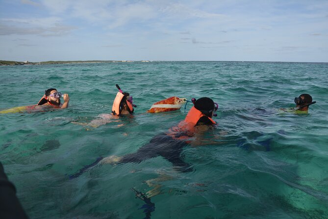 Tulum: Snorkeling and Private Sailing Tour - What to Expect on the Tour