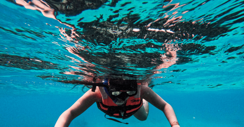 Tulum: Snorkeling at Paradise Reef - Key Points