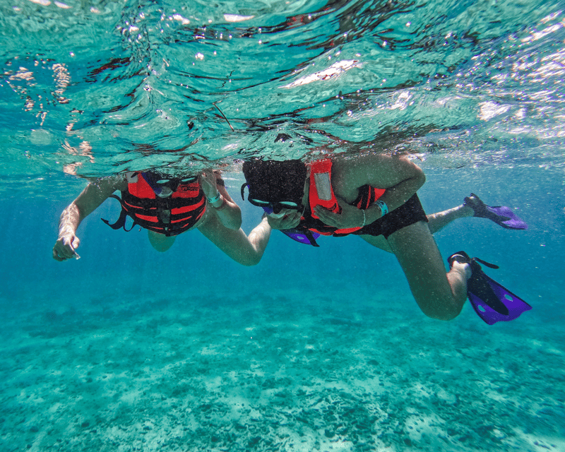 Tulum: Snorkeling at Paradise Reef - Itinerary and Highlights