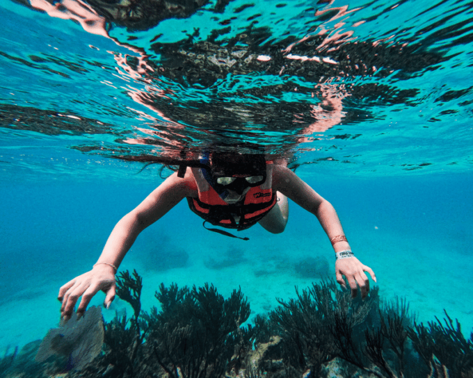 Tulum: Snorkeling at Paradise Reef - Getting to Tulum Snorkel Services