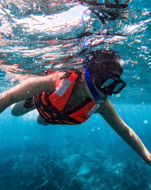 Tulum: Snorkeling at Paradise Reef - Frequently Asked Questions