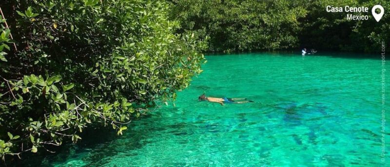 Tulum Snorkeling Tour - Casa Cenote + Ocean Reef & Lunch - Highlights