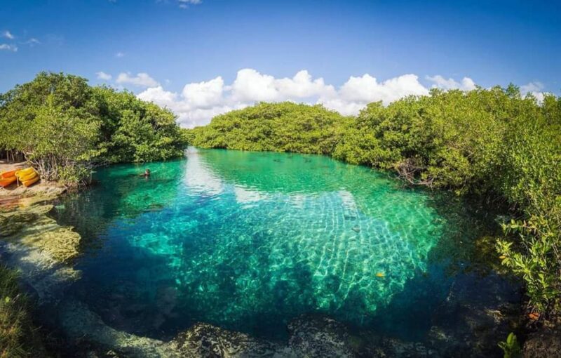 Tulum Snorkeling Tour - Casa Cenote + Ocean Reef & Lunch - Inclusions