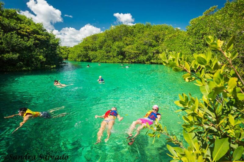 Tulum Snorkeling Tour - Casa Cenote + Ocean Reef & Lunch - Restrictions