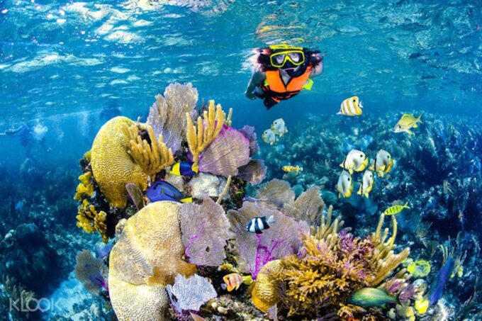 Tulum Snorkeling Tour - Casa Cenote + Ocean Reef & Lunch - Booking Flexibility