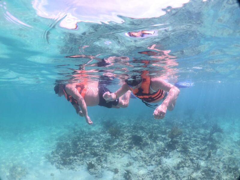Tulum: Snorkeling Tour With Sea Turtle Akumal & Cenote Swim - Experience Highlights