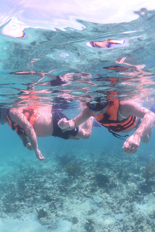 Tulum: Snorkeling Tour With Sea Turtle Akumal & Cenote Swim - Snorkel Equipment Provided