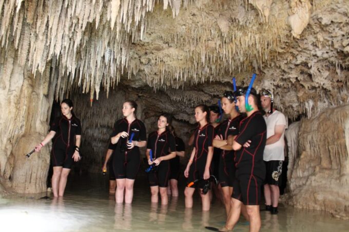Tulum: Snorkeling Tour With Sea Turtle Akumal & Cenote Swim - Discover the Underwater World