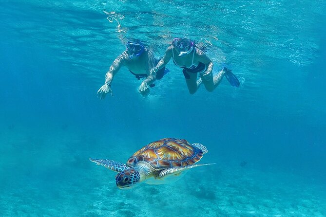 Tulum, Snorkeling With Sea Turtles, Cenote and Beachside Lunch - Pickup and Meeting Details