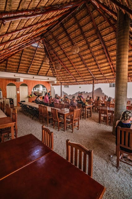 Tulum Tour and Casa Tortuga Cenote and Playa Del Carmen: - Itinerary and Highlights