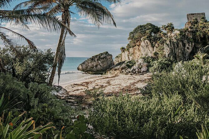 Tulum Transportation Service 24/7 The Most Reliable and safe. - Authentic Experiences and Genuine Reviews