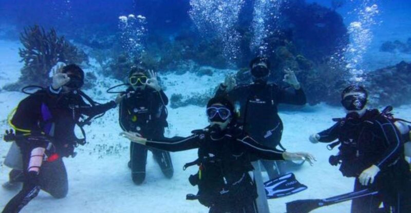 Tulum: Try Scuba Diving Adventure - Experience Highlights