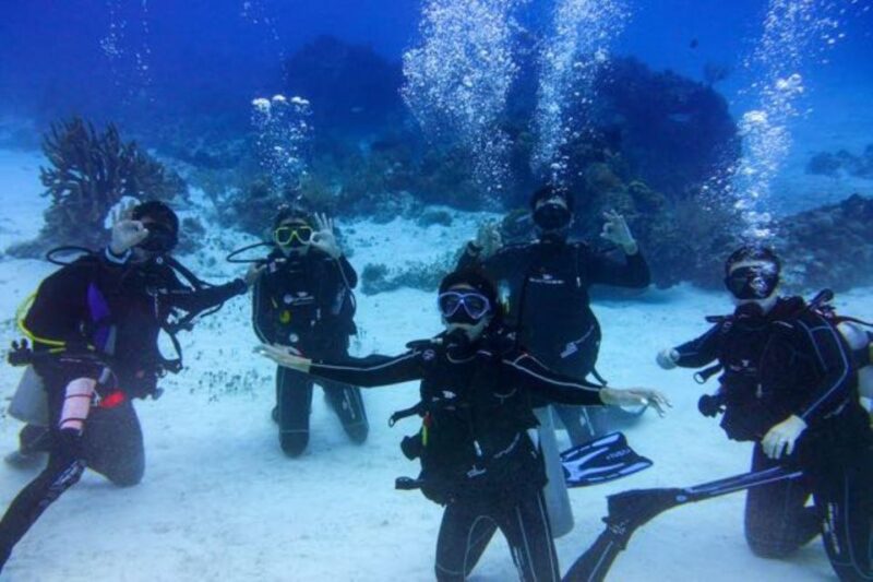 Tulum: Try Scuba Diving Adventure - Inclusions