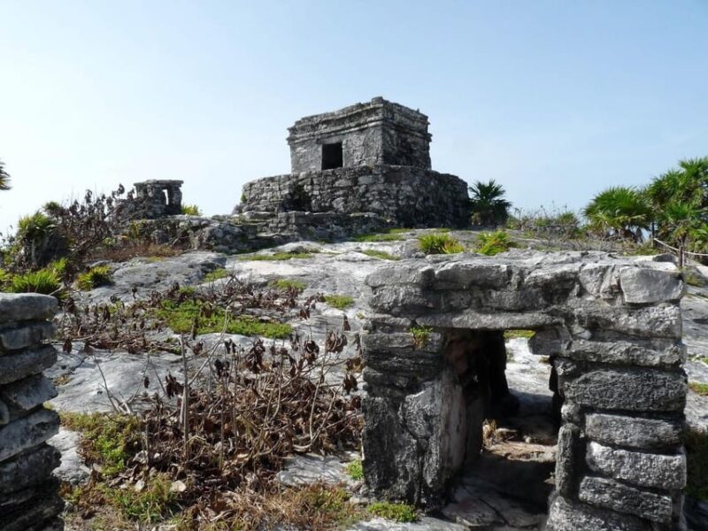 Tulum: Tulum & Coba Ruins, Cenote - German Guide - Cenote Swimming