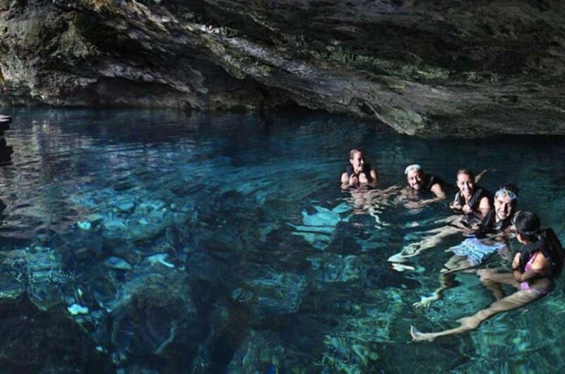 Tulum: Turtle Swim, ATV and Zipline in the Jungle Tour - Transportation