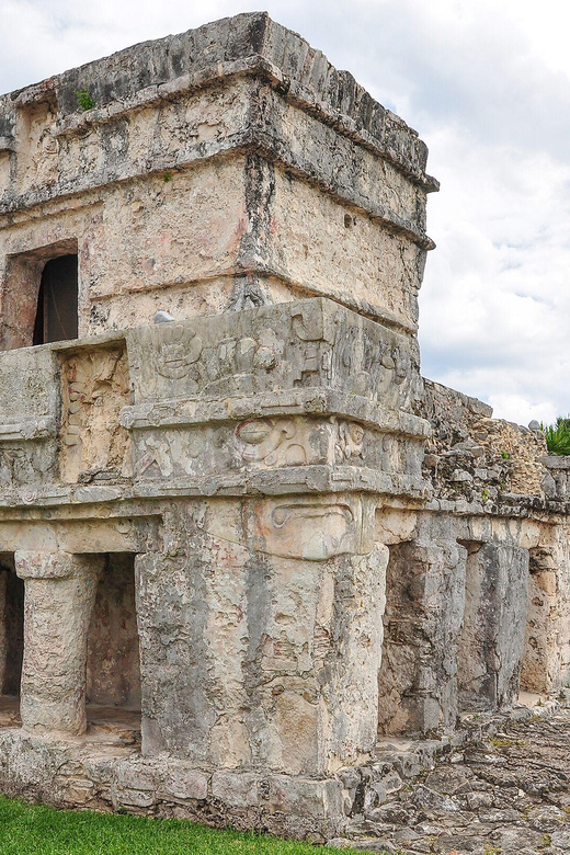 Tulum Turtles Cenote & Beach Club - Experience Highlights