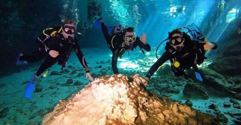 Tulum: Wonders of the Underwater World Discover Scuba Diving - Experience Highlights