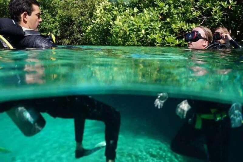 Tulum: Wonders of the Underwater World Discover Scuba Diving - Dive Site Exploration
