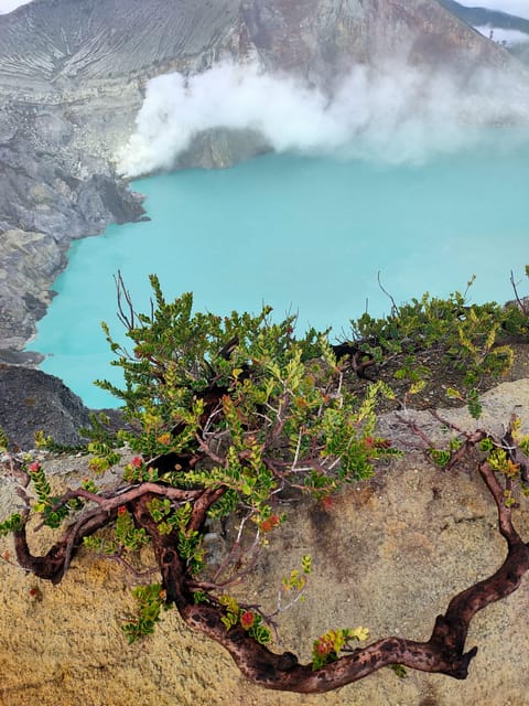 Tumpak Sewu - Bromo - Ijen Crater 3D2N Starting From Surabaya/Malang - Pickup and Contact Details