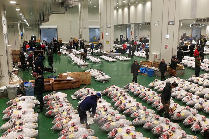 Tuna Auction and Tokyo Toyosu Fish Market Tour - Tour Inclusions and Exclusions