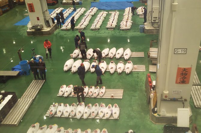Tuna Auction at Toyosu Market With Qualified Guide and Early Morning Tour of Tsukiji Outer Market - Transportation to Markets