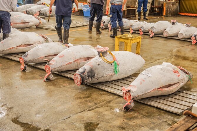 Tuna Auction in Toyosu and Tsukiji Fish Market Tour - Meeting and Pickup Details