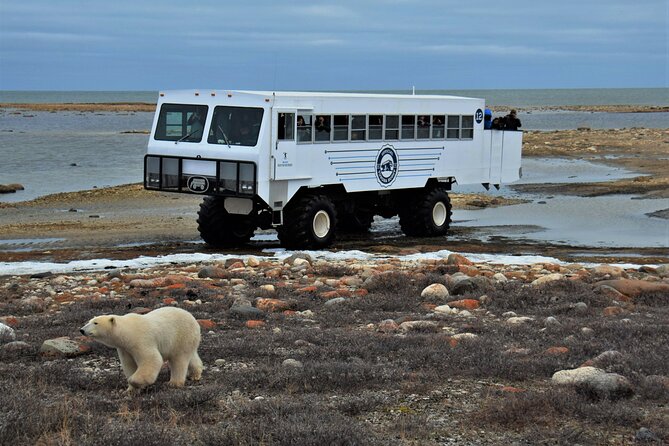 Tundra Buggy Autumn Day Tours - Vehicle Specifications