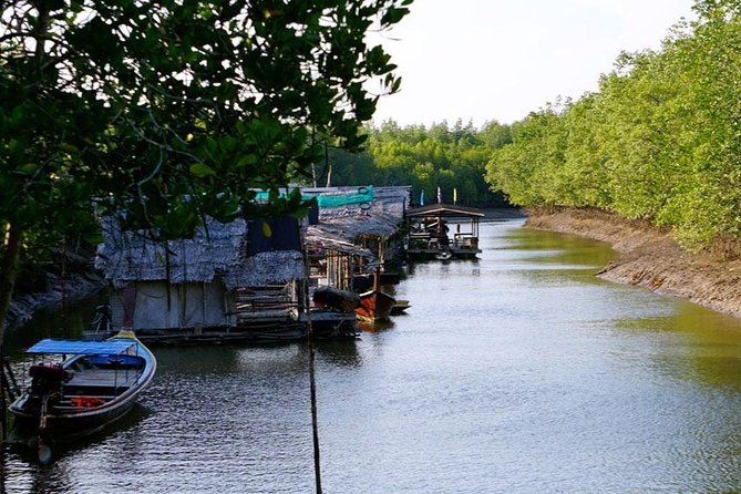 Tung Yee Peng Mangrove Forest Tour By Longtail Boat From Koh Lanta - Meeting and Pickup