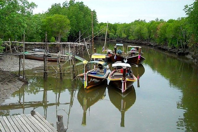 Tung Yee Peng Mangrove Forest Tour By Longtail Boat From Koh Lanta - Health Considerations