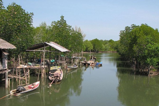 Tung Yee Peng Mangrove Forest Tour By Longtail Boat From Koh Lanta - Mangrove Forest Highlights