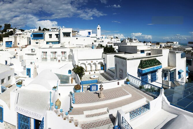 Tunis: Carthage, Bardo Museum, Sidi Bou Said and Medina Day Tour - Key Points
