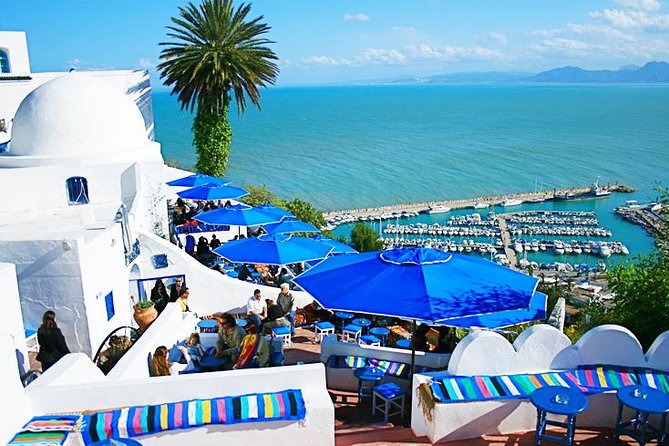 Tunis: Carthage, Bardo Museum, Sidi Bou Said and Medina Day Tour - Wander the Tunis Medina