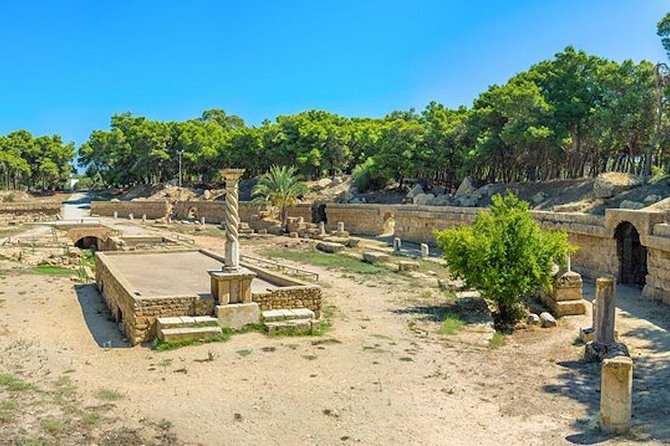 Tunis: Carthage, Bardo Museum, Sidi Bou Said and Medina Day Tour - Transportation and Pickup