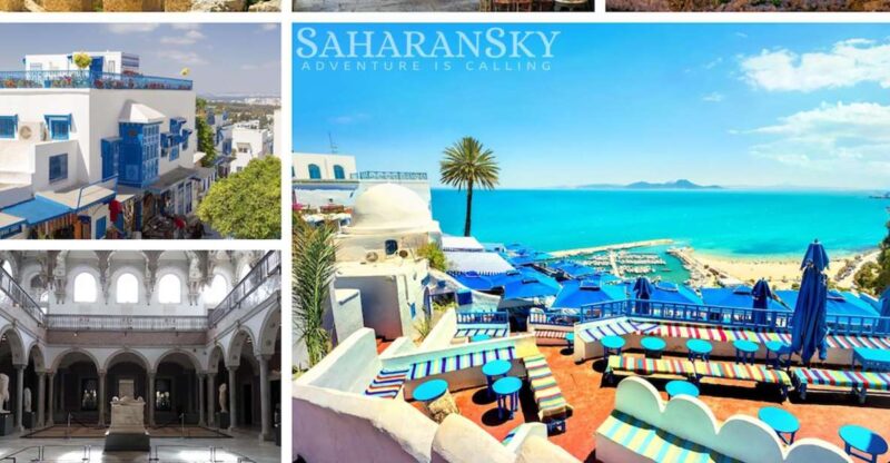 Tunis: Carthage, Bardo, Sidi Bou Said and Medina Tour - Key Points