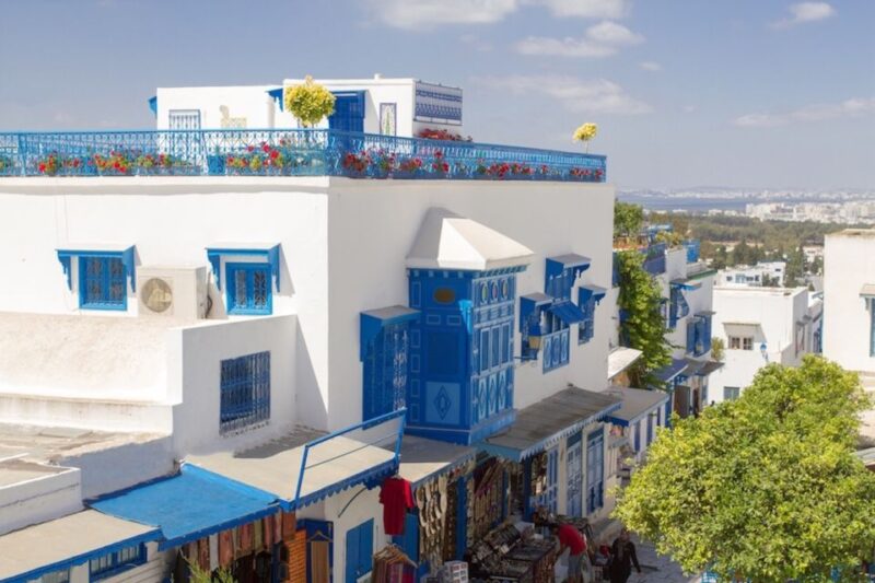 Tunis: Carthage, Bardo, Sidi Bou Said and Medina Tour - Carthage: Ancient Ruins