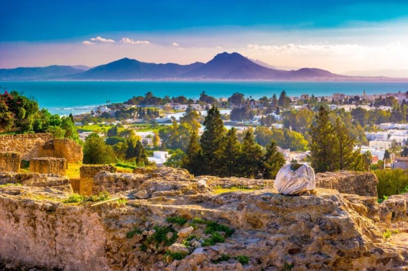 Tunis: Carthage, Bardo, Sidi Bou Said and Medina Tour - Inclusions of the Tour