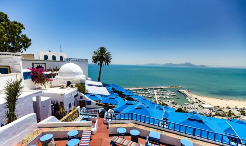 Tunis: Full-Day Sightseeing Tour With Lunch - Key Points