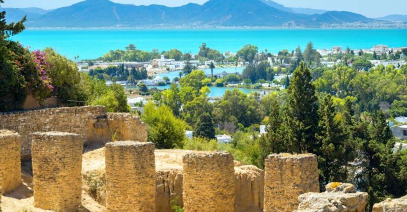 Tunis: Full-Day Sightseeing Tour With Lunch - Carthage: History and Ruins