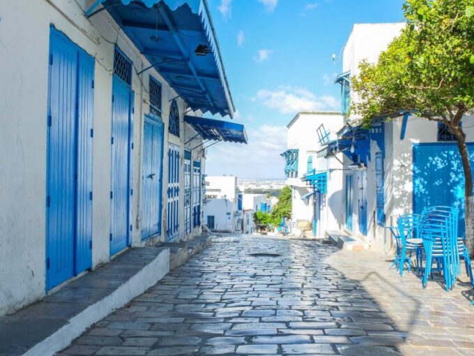 Tunis Governorate: Full-Day Tour - Leisure Time in Sidi Bou Said