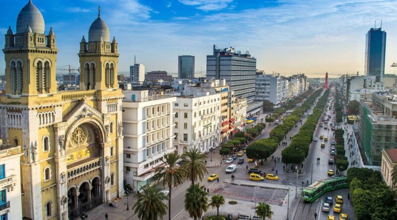 Tunis: Guided Tour With Bardo Museum, El-Zitouna, and Medina - Tips for a Great Experience