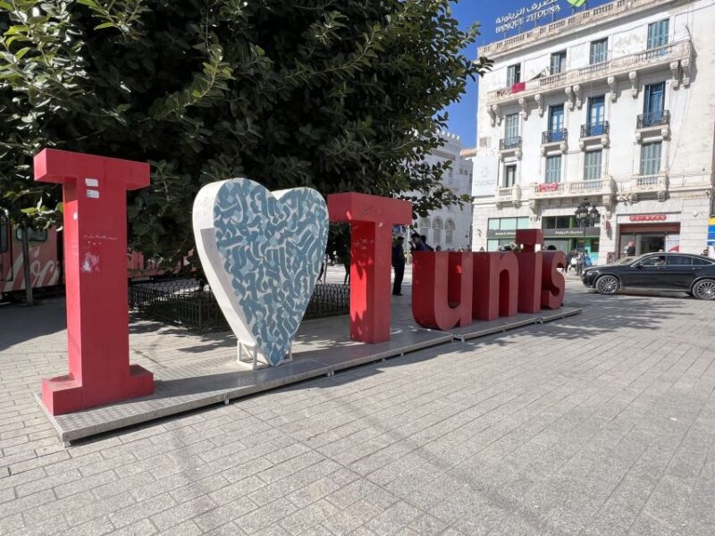 Tunis: Medina, Carthage, Sidi Bou Said, Bardo Private Tour - Itinerary Highlights